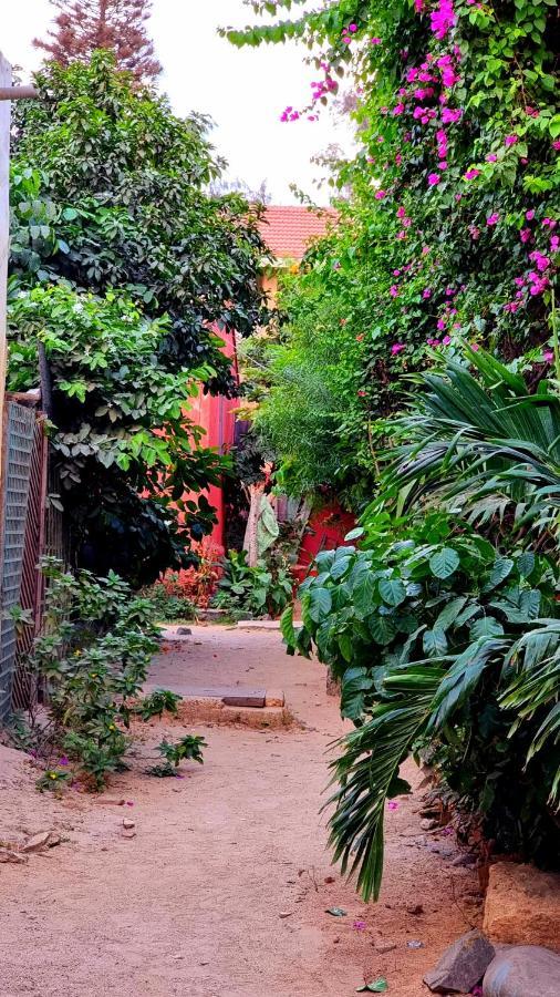 Chez Coumbis Bed & Breakfast โกเร ภายนอก รูปภาพ