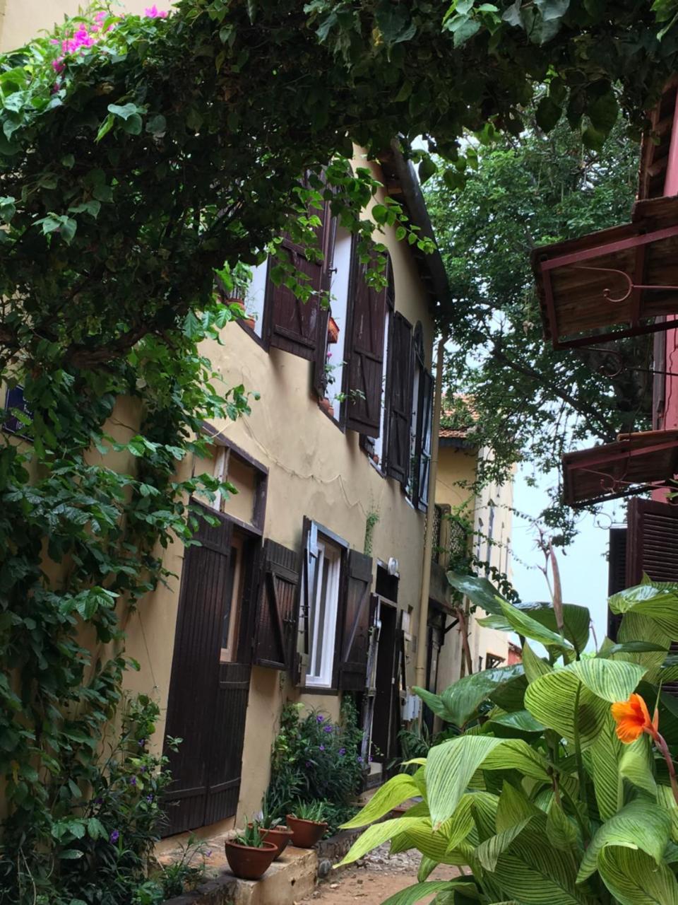 Chez Coumbis Bed & Breakfast โกเร ภายนอก รูปภาพ